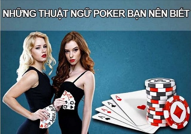 Thuật ngữ dùng cho người chơi trong game Poker